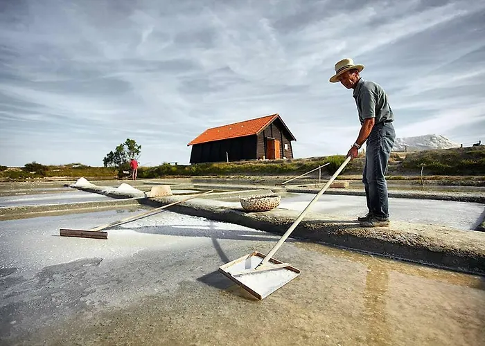 Prázdninový dům Maison Pour 6 - Jardin Et Terrasse - 300m