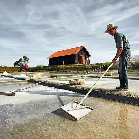 Hébergement de vacances Maison Pour 6 - Jardin Et Terrasse - 300m